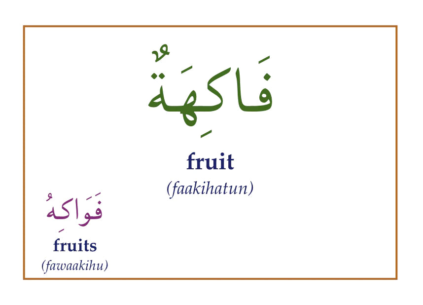 Gateway to Arabic Flashcards Set 3