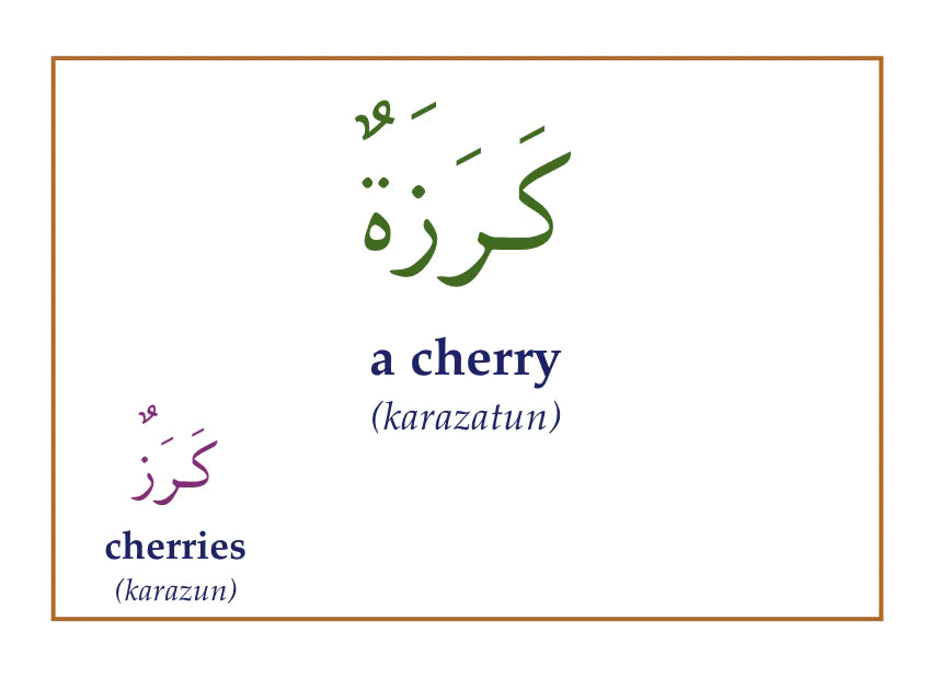 Gateway to Arabic Flashcards Set 3