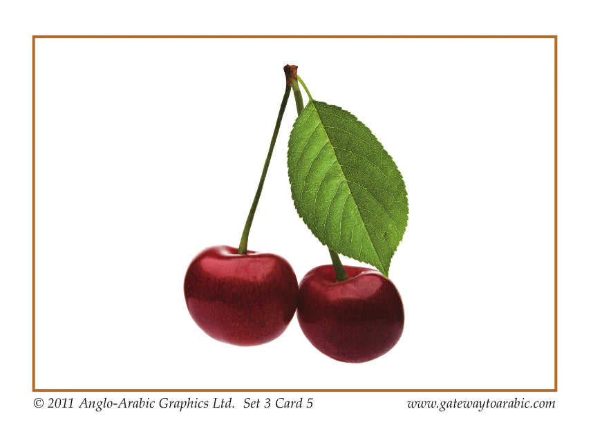 Gateway to Arabic Flashcards Set 3