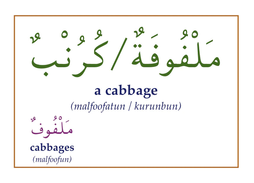 Gateway to Arabic Flashcards Set 3
