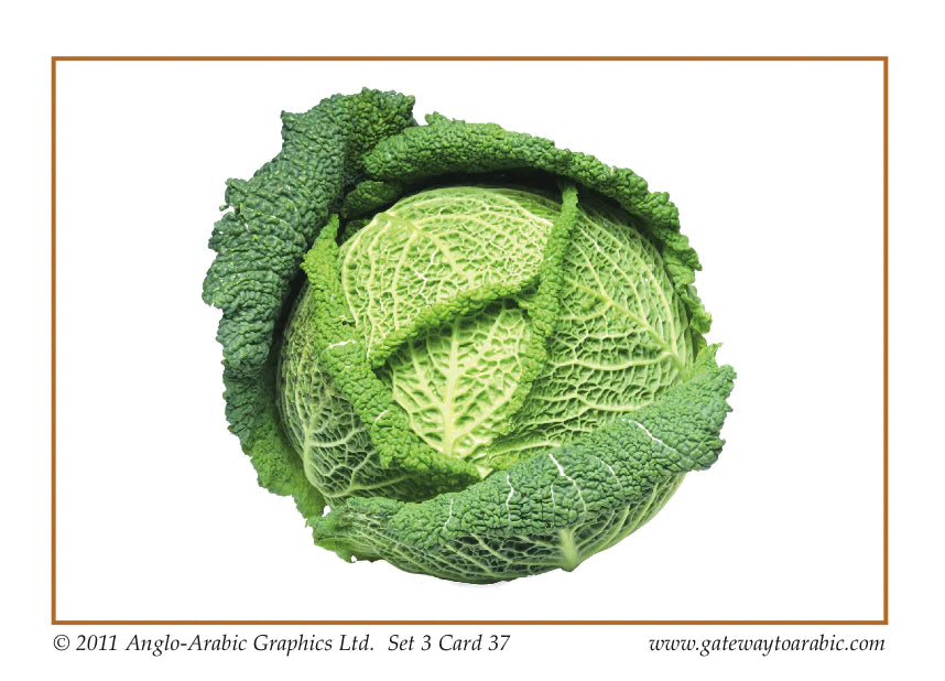 Gateway to Arabic Flashcards Set 3