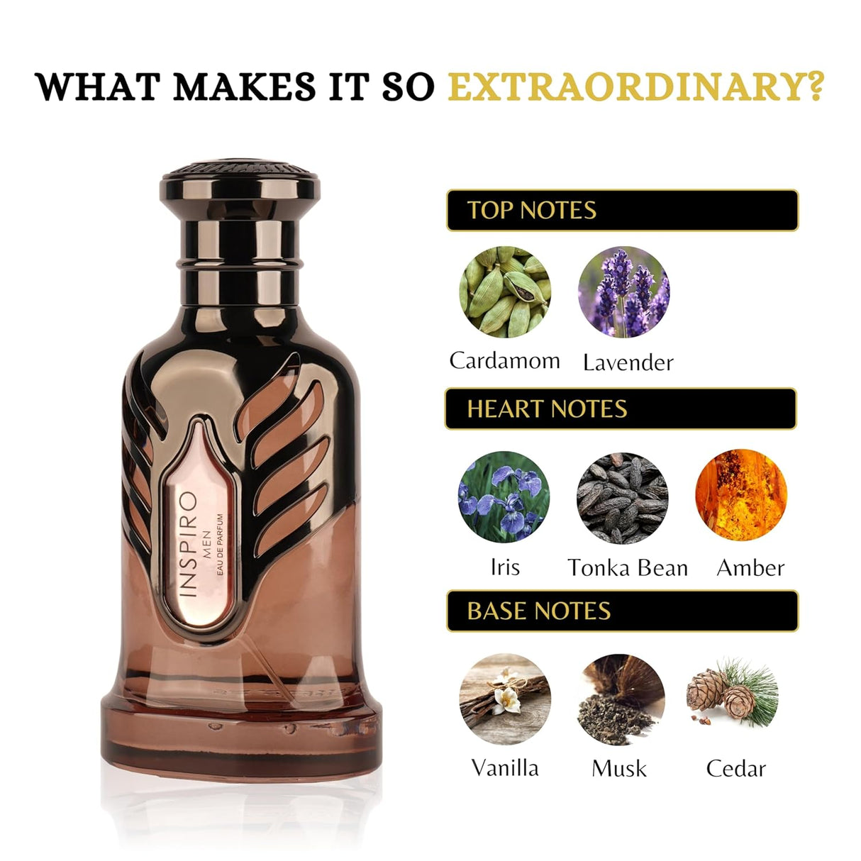 INSPIRO MEN 100 ML by Riiffs