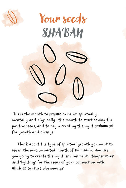 Shaban, Ramadan, Shawwal