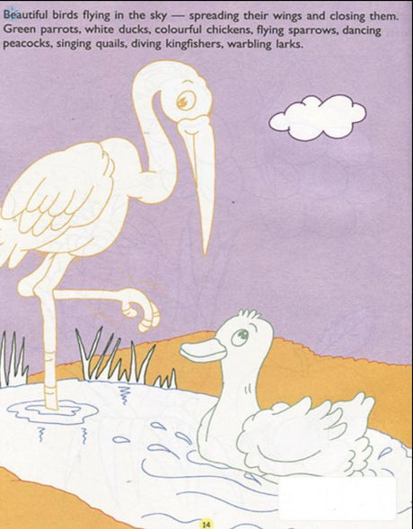 Stories From The Quran: Big Colouring Book