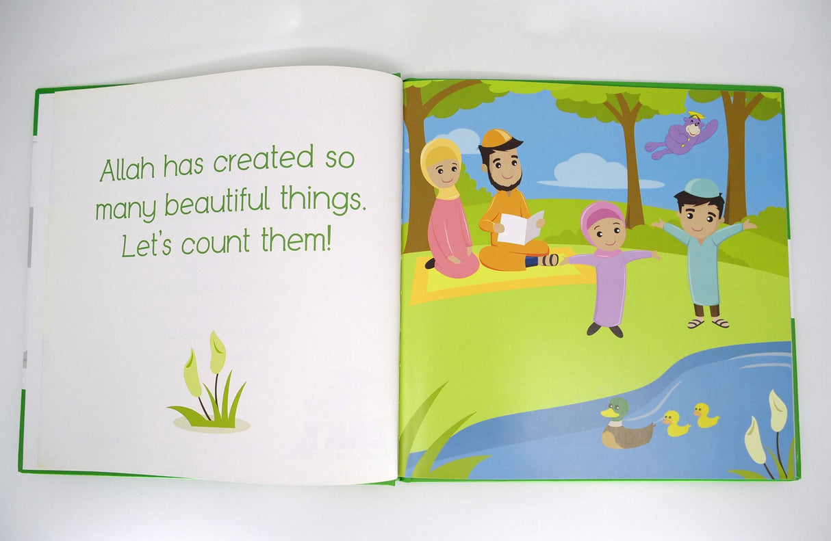 Zaky's Creation Series: A Book Of Numbers