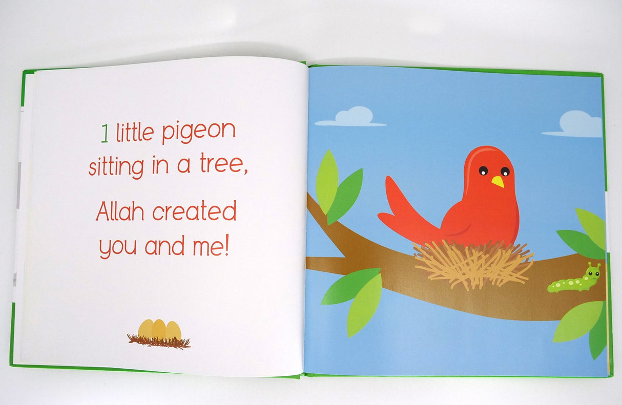 Zaky's Creation Series: A Book Of Numbers