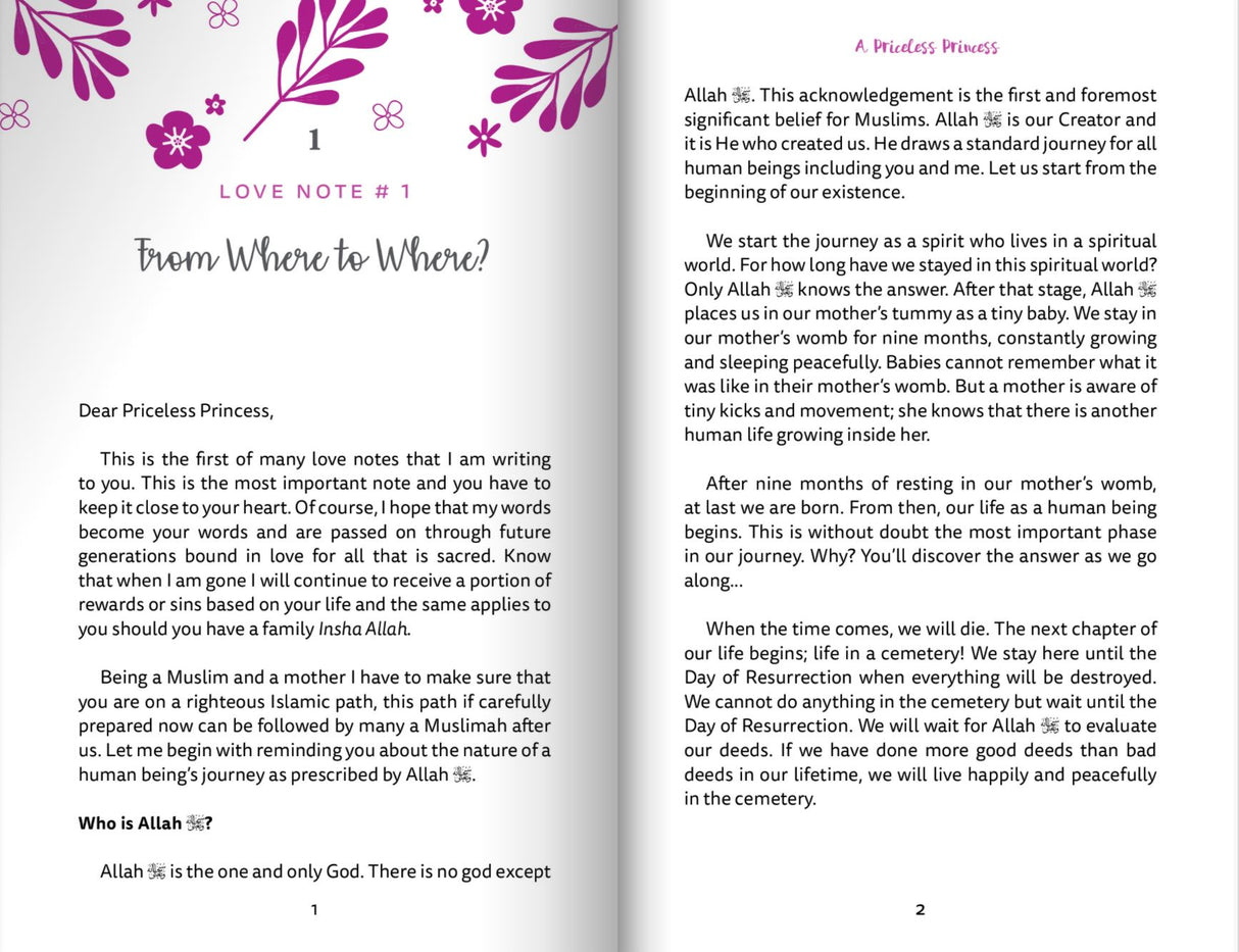 A Priceless Princess - Love Notes to a Daughter