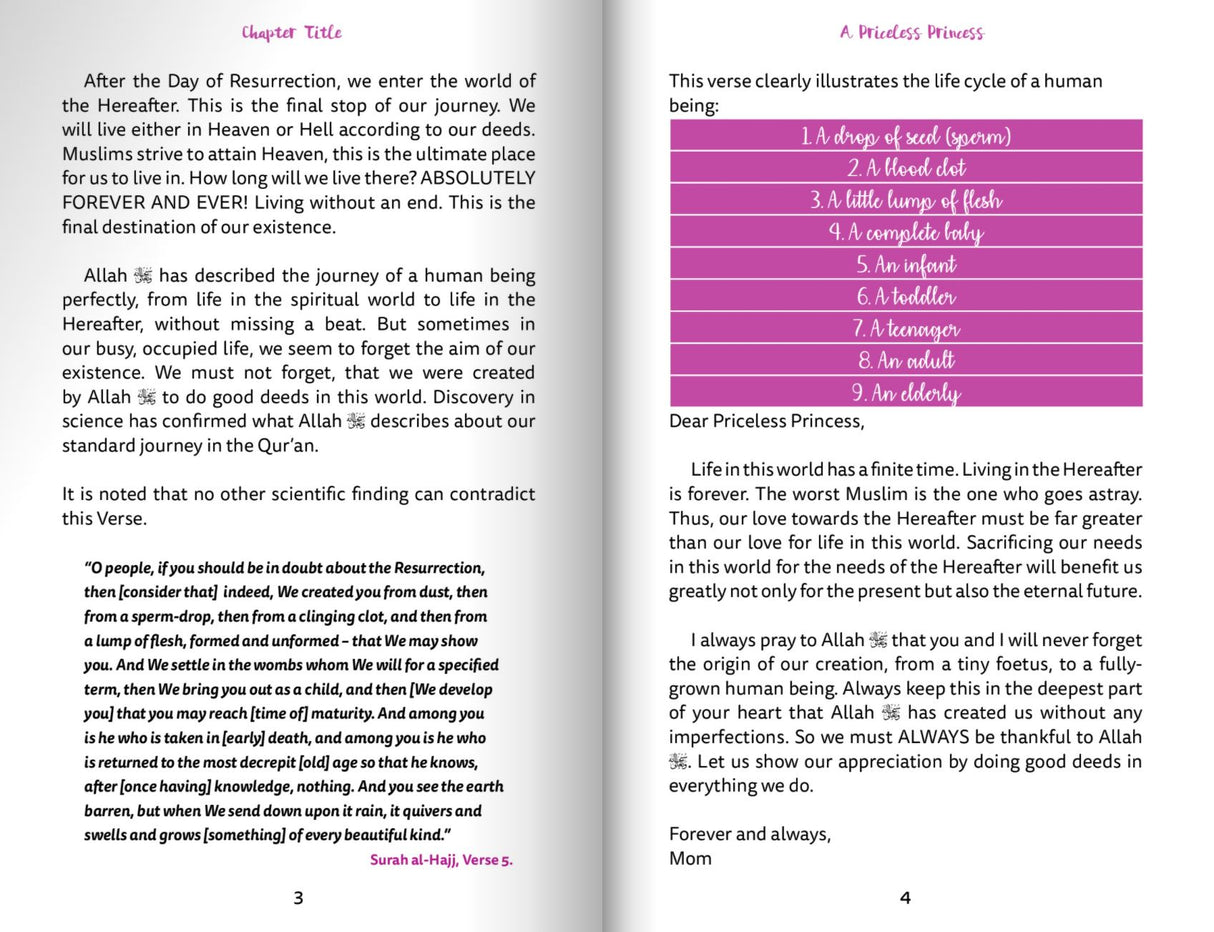 A Priceless Princess - Love Notes to a Daughter