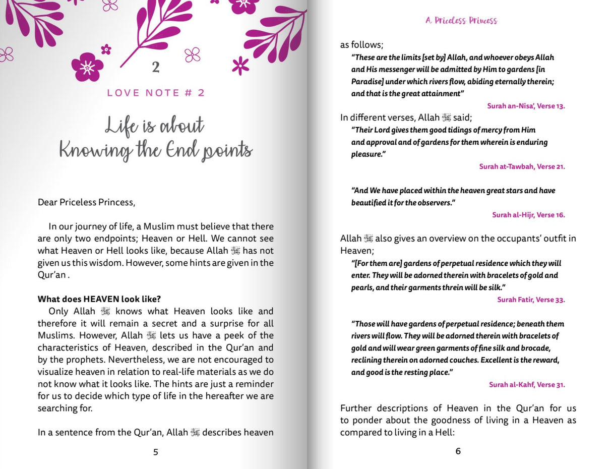 A Priceless Princess - Love Notes to a Daughter