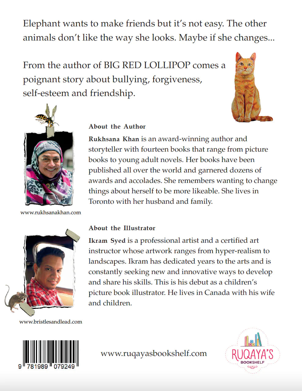 Elephant's Makeover (Hardcover)