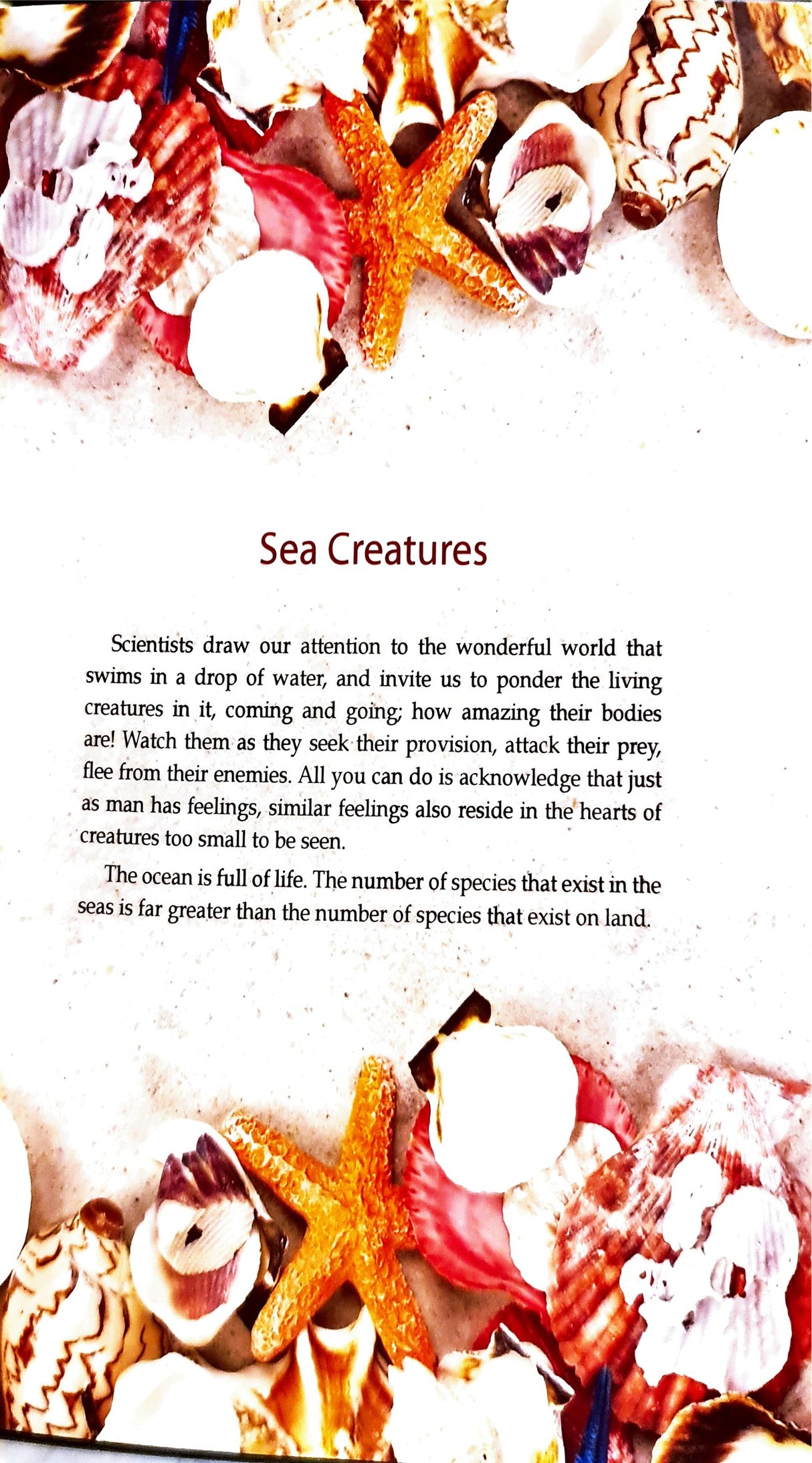 Scientific Miracles In The Oceans And Animals