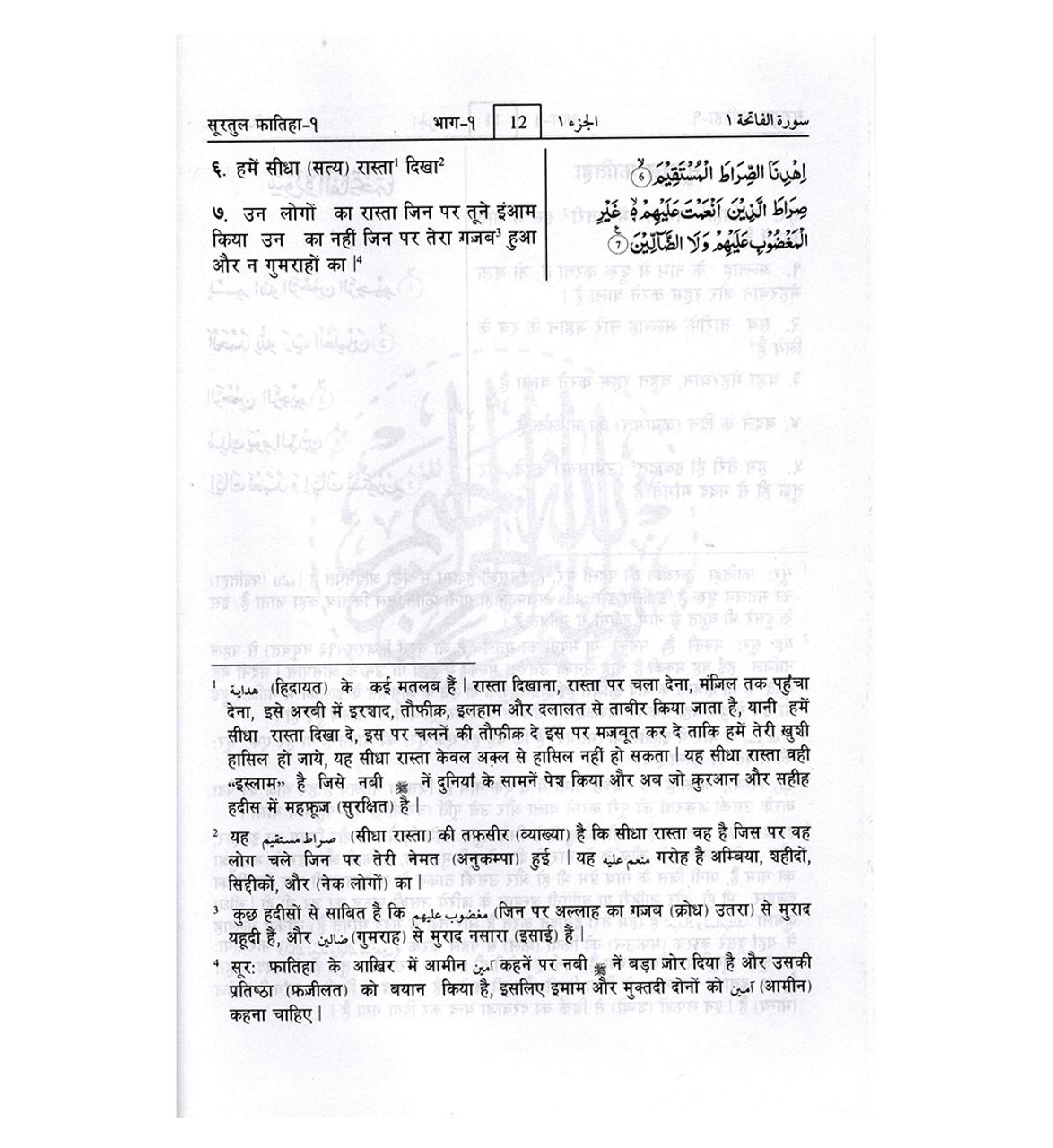 Noble Quran Hindi Language Mukhtasar Tafseer Ahsanul Bayan