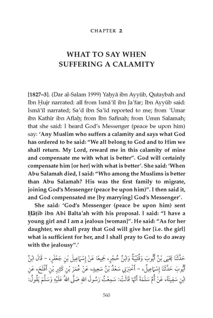 Sahih Muslim Vol. 5 With the Full Commentary by Imam Nawawi