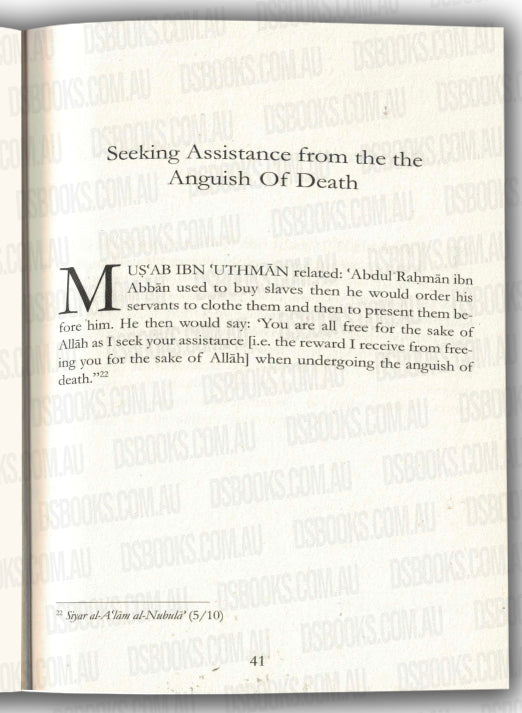 Disturber of the Hearts