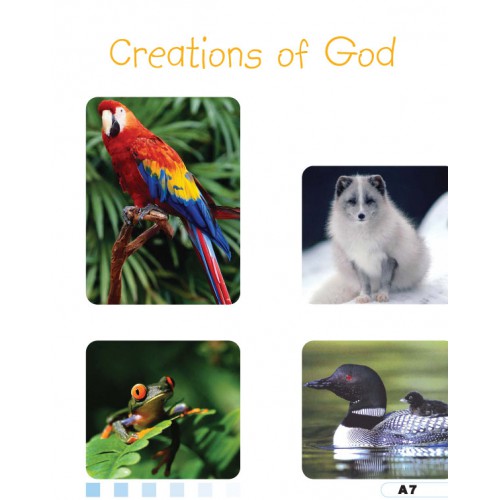 I Love Islam Textbook & CD Grade/Level 3 No cd is included - Darussalam Islamic Bookshop Australia