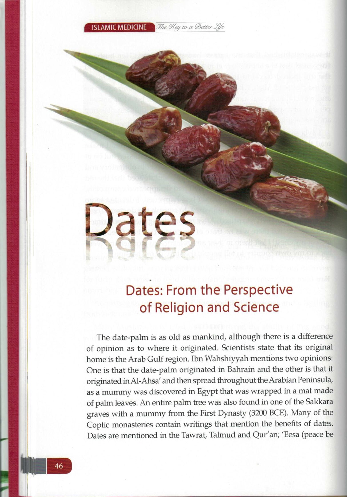 Islamic Medicine The Key To A Better Life