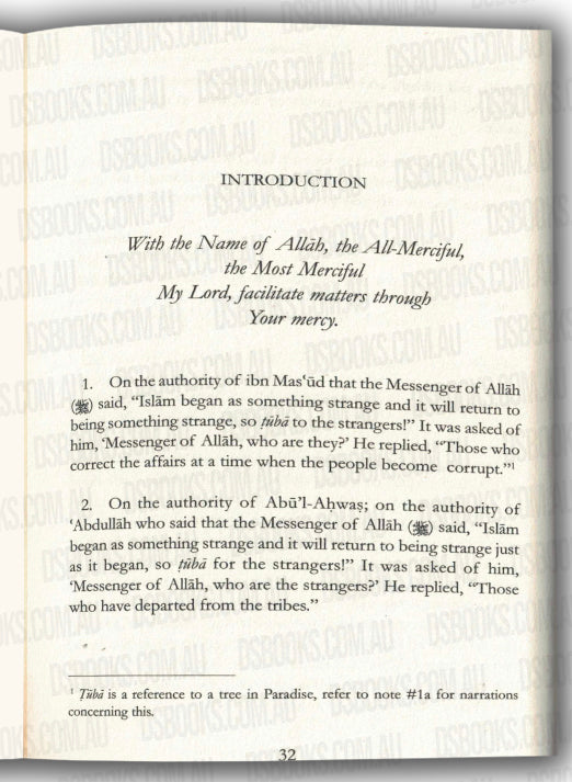 The Journey of the Strangers