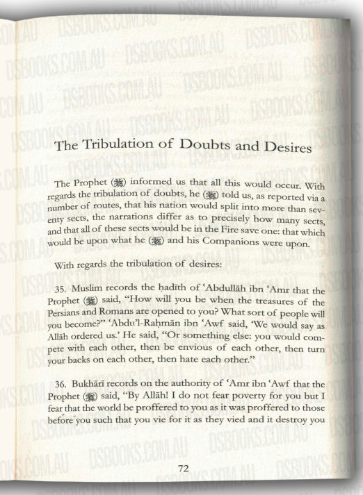 The Journey of the Strangers