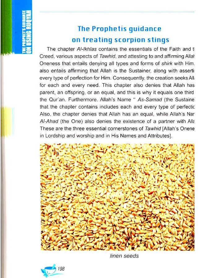 Healing With The Medicine Of The Prophet (Colour Ed.)