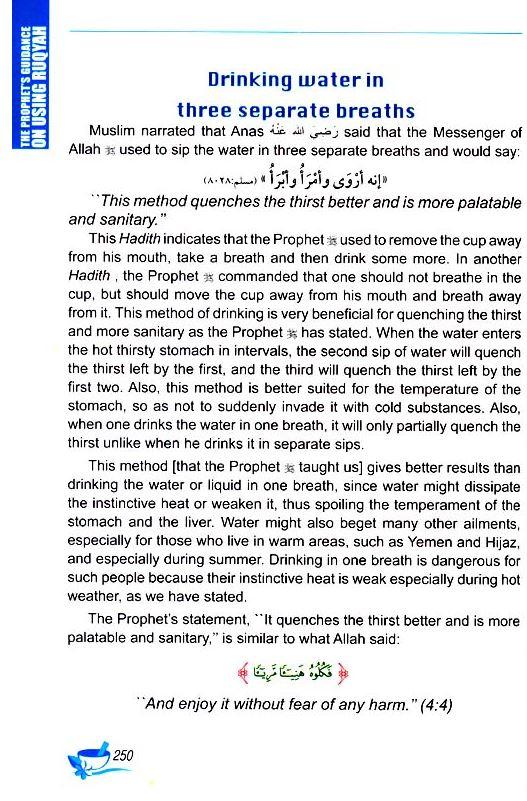 Medicine Of The Prophet (Colour Ed.)