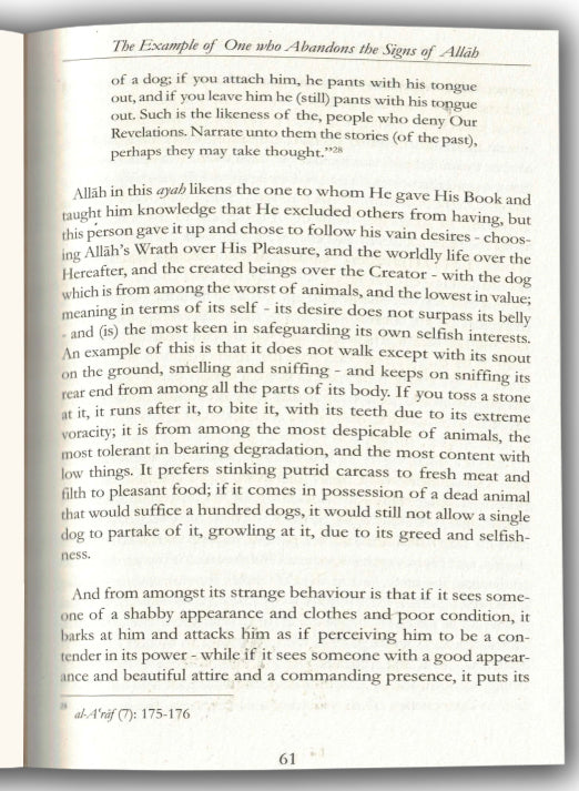 Paragons Of The Qur'an