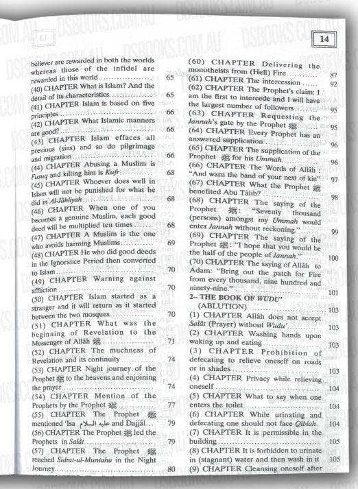 Summarised Sahih Muslim (2 Volume Set )