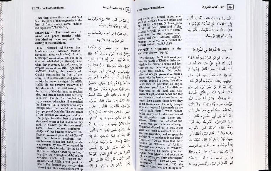 Summerised_Sahih_Al_Bukhari_English_