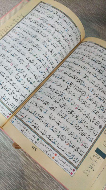 Tajweed Quran ( 17cm x 12cm x 3.5cm ) Dar al Marifa (Uthmani)