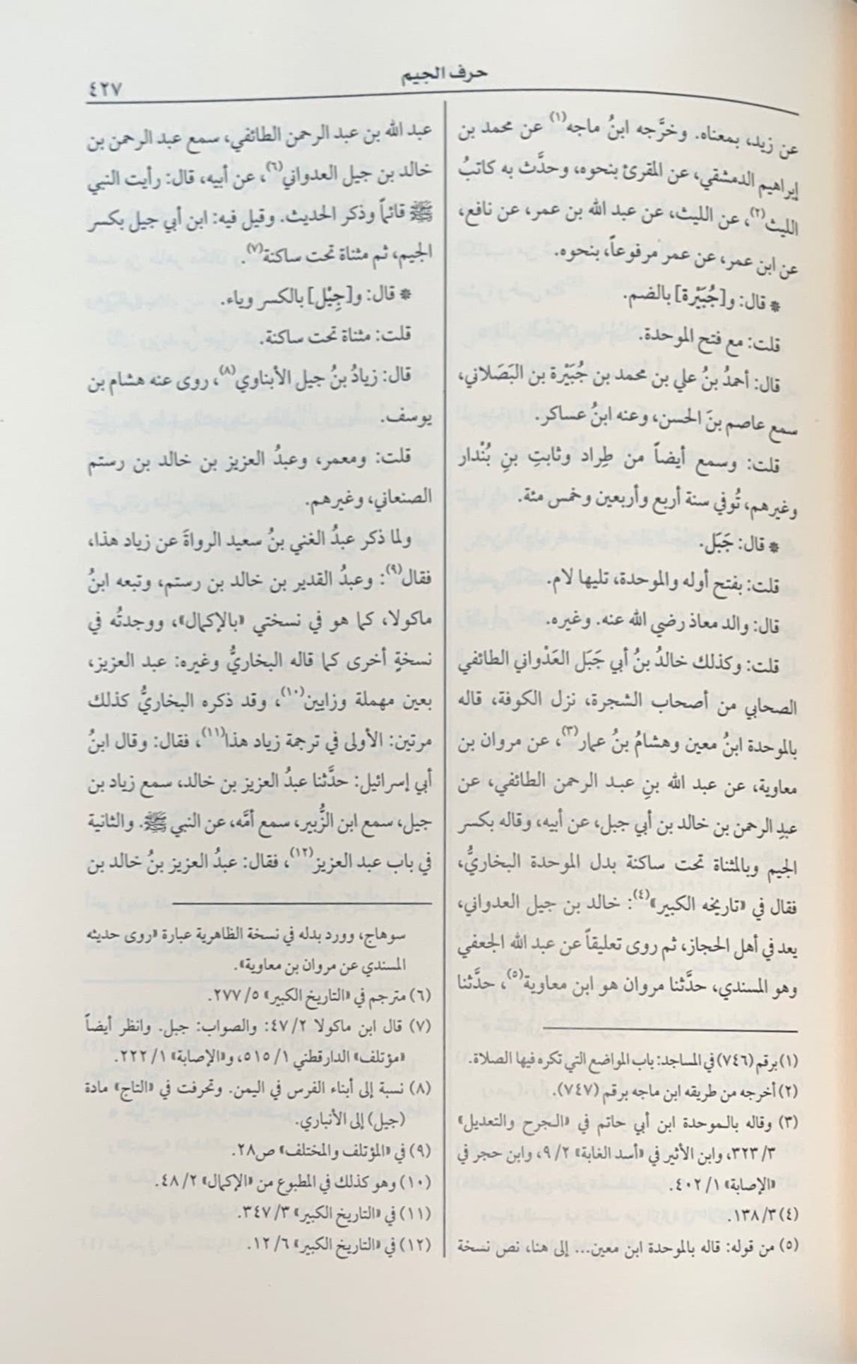 توضيح المشتبه    Tawdih Al Mushtabih (2 Volume Set)
