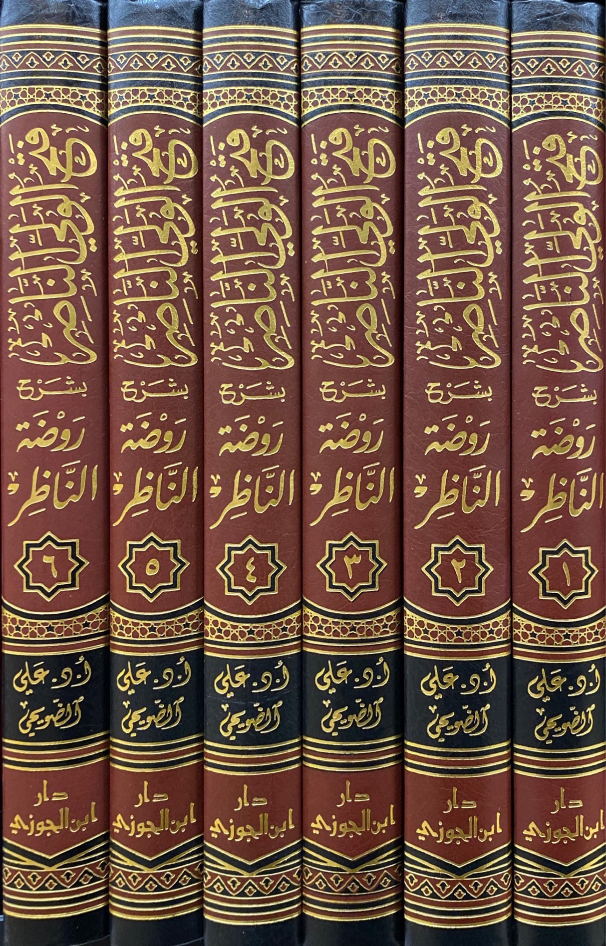 فتح الولى الناصر شرح روضة الناظر 1/ 6   Fath Al Wali An Nasir Sharh Rawdatun Nathir (6 Volume Set)