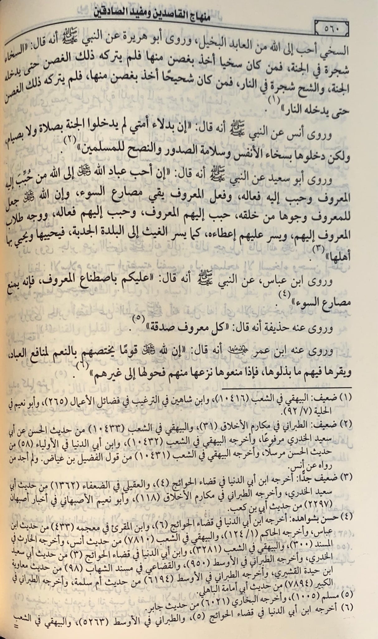 منهاج القاصدين و مفيد الصادقين     Minhajul Qasidin