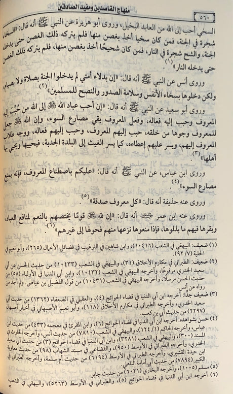 منهاج القاصدين و مفيد الصادقين     Minhajul Qasidin