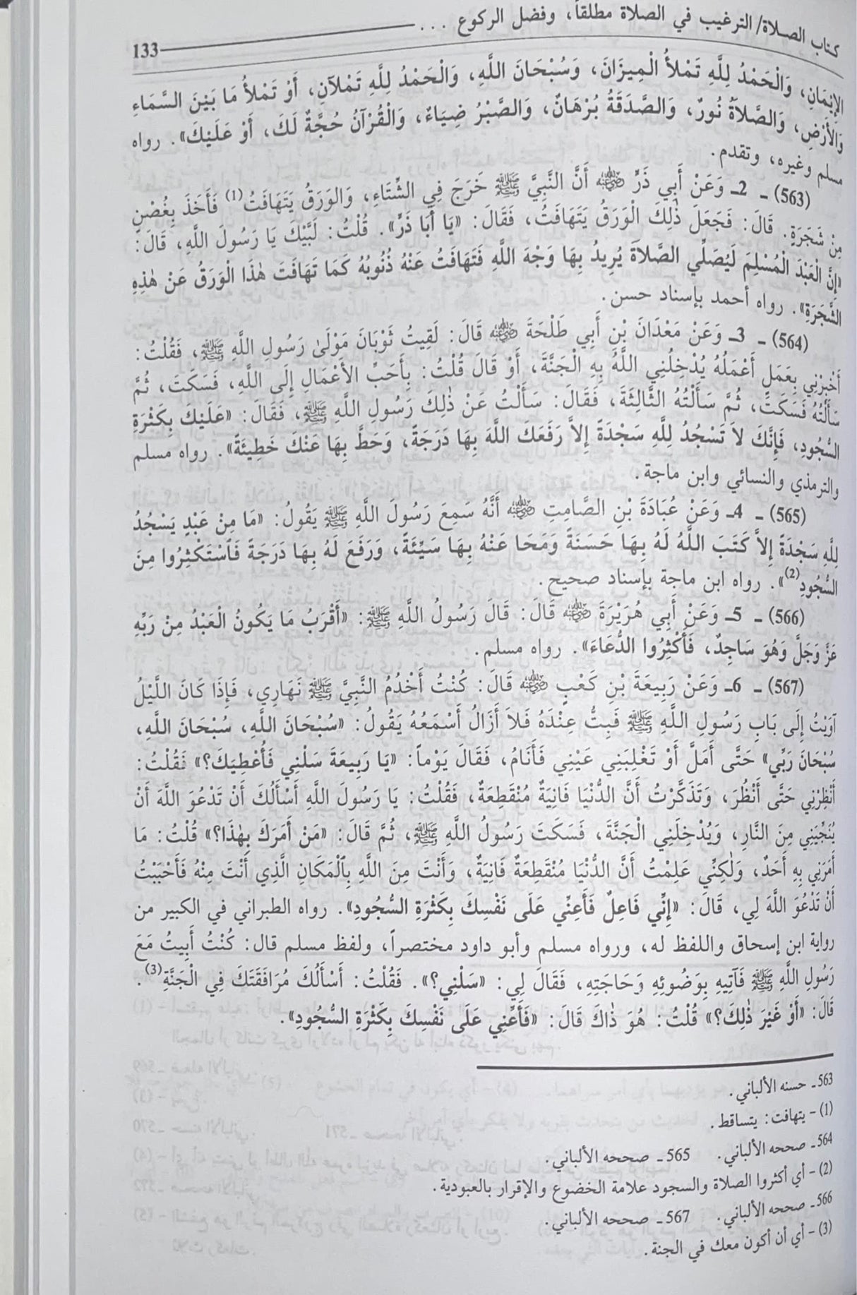 الترغيب والترهيب At Targhib  Wat Tarhib (Fikr) (4 Volume Set)