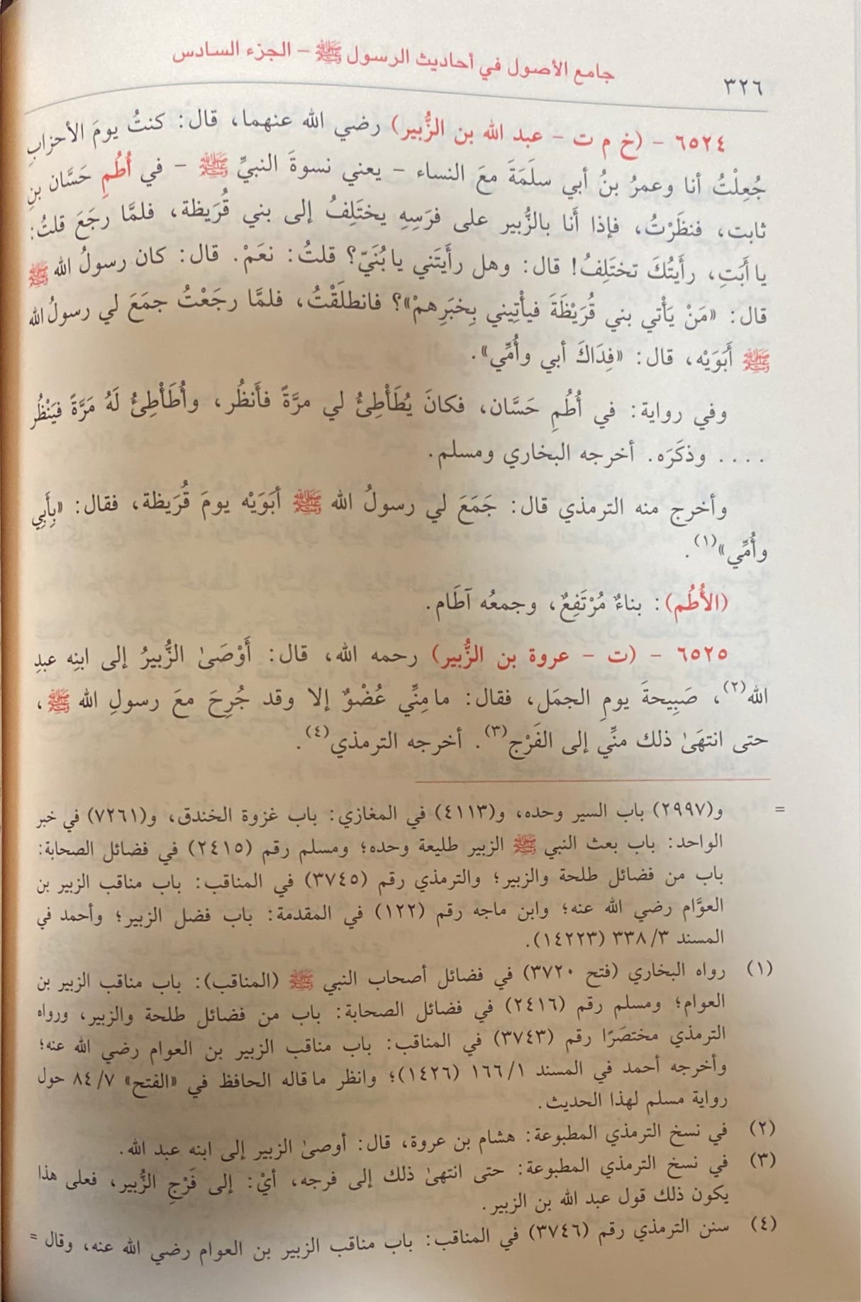 الجامع الأصول في احاديث الرسول Al Jami Al Usul Fi Ahadith (13 Vol)
