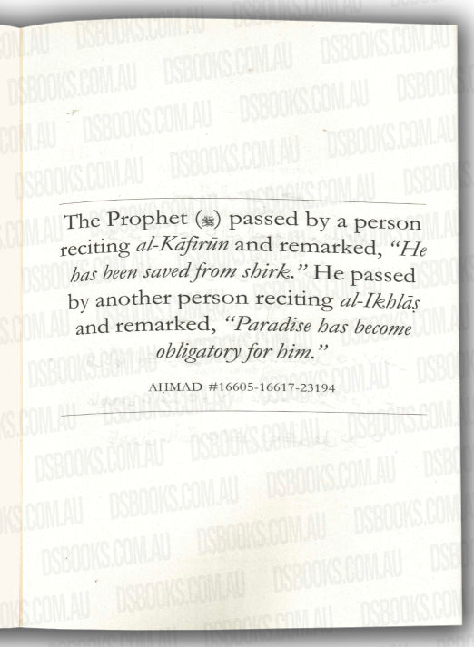 The Light Of The Qur'an