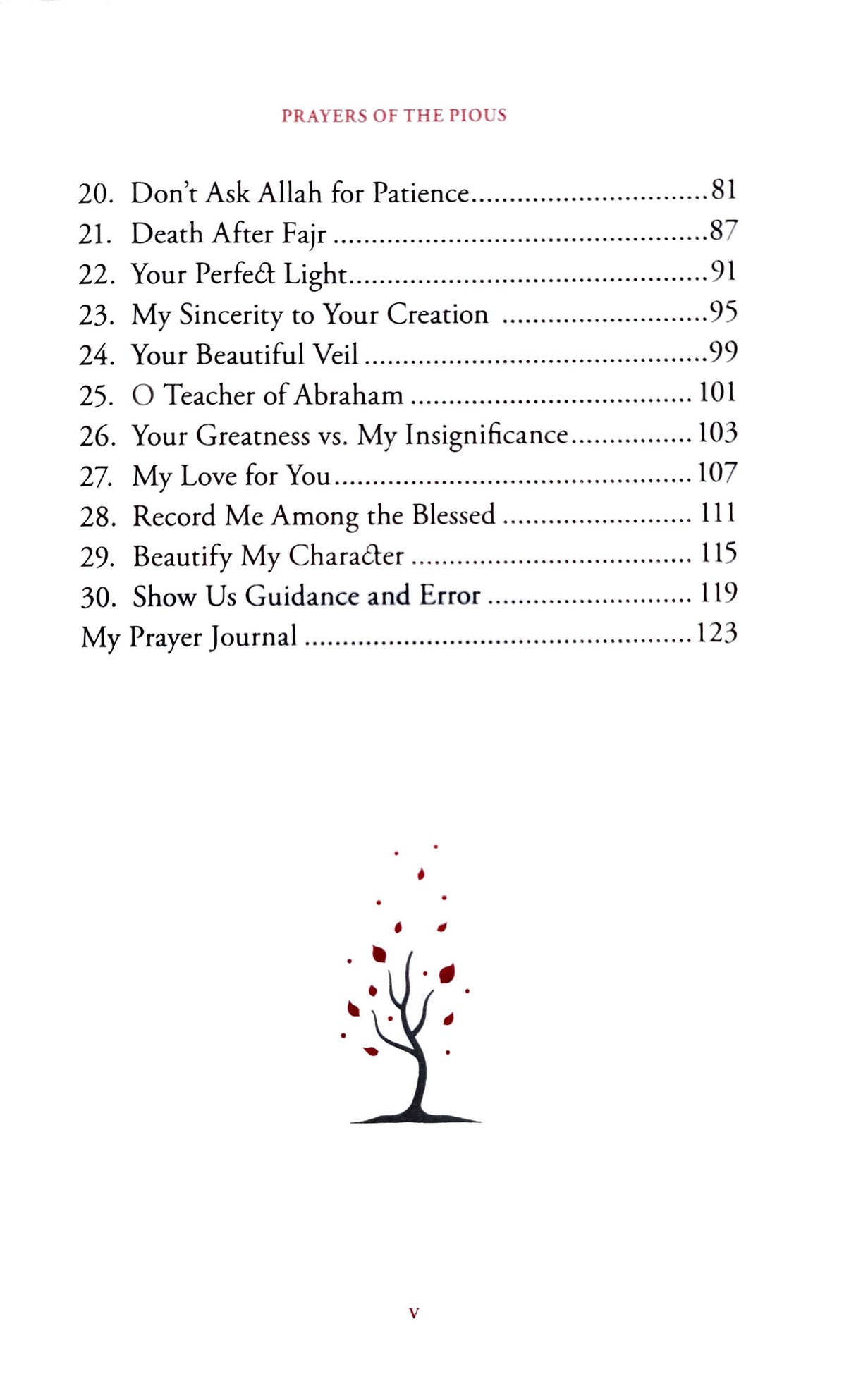 Prayers of the Pious by Omar Suleiman
