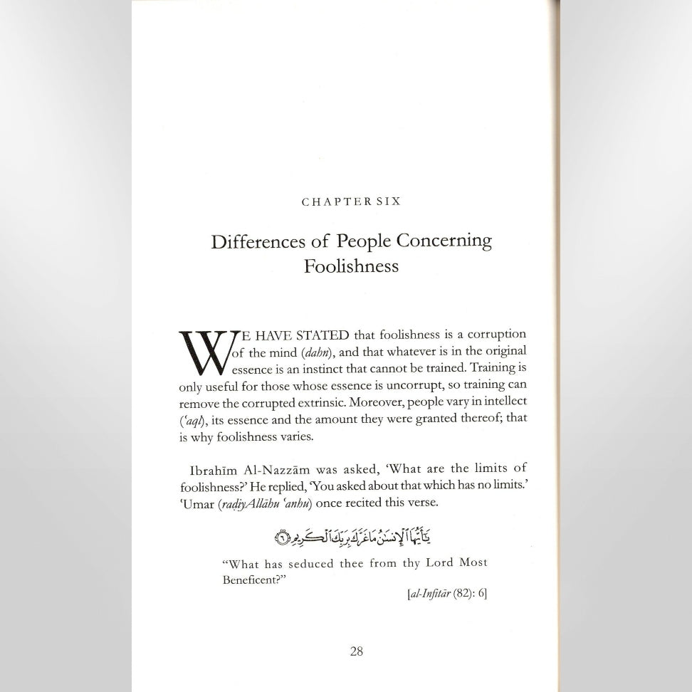 Sketches Of Fools And Simpletons