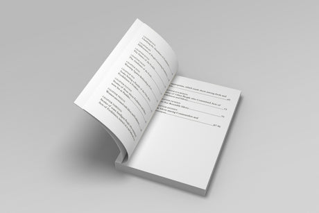 Sketches Of Fools And Simpletons