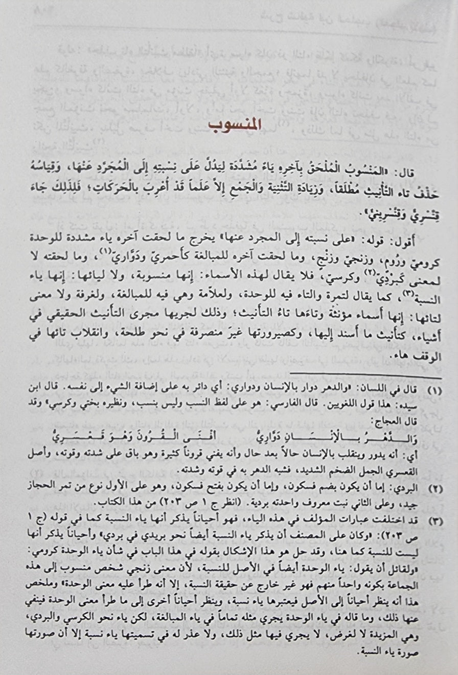 شرح شافية ابن الحاجب   Sharh Shafiya Ibn Al Hajib (2 Volume Set)