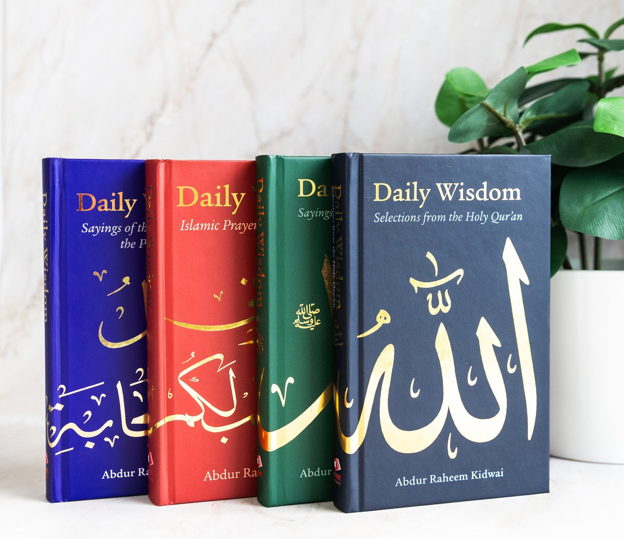 Daily Wisdom 4 Book Set