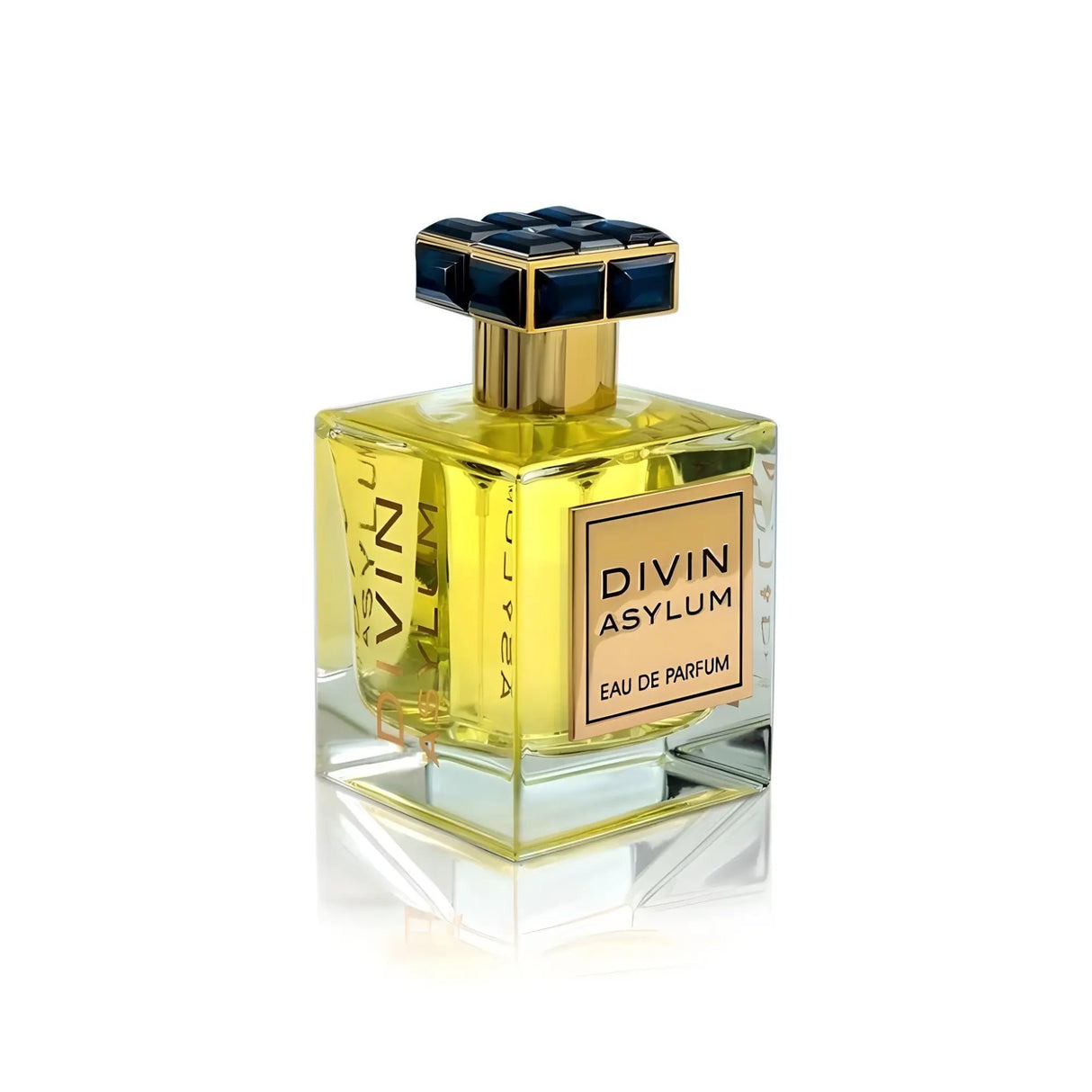 Divin Asylum EDP Perfume 100ml