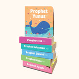 My Little Library Quran Stories - 12 board books