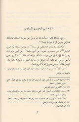 البدر المنير في تخريج احاديث الشرح الكبير Al Badr Al Munir  (28 Volume Set)