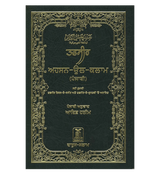 Noble Quran in Gurmukhi Language Mukhtasar Tafseer Ahsanul Kalaam