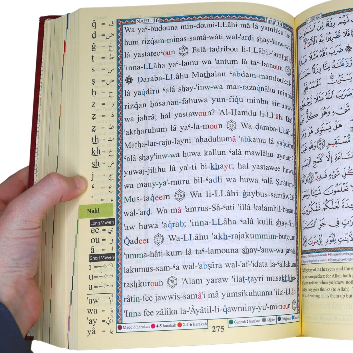 Tajweed Quran Translation and Transliteration (Roman) ( 25cm x 18cm x 5.5cm ) Dar al Marifa (Uthmani)