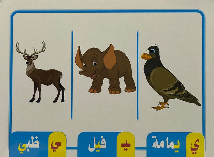 The Three Forms of Arabic Letter Flash Card  (20cmx15cm)  28 Cards