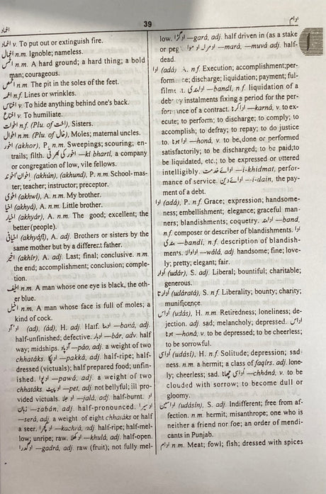 Urdu English 21st Century Academic Dictionary