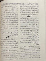 Urdu Mufradat Al Quran (2 Vol)