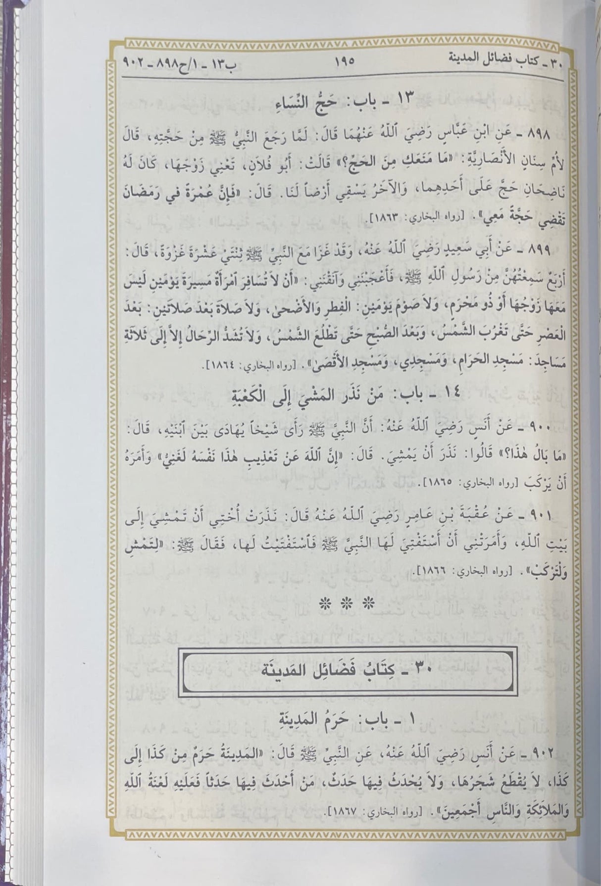 مختصر صحيح البخاري Mukhtasar Sahih Al Bukhari (Ibn Hazm)