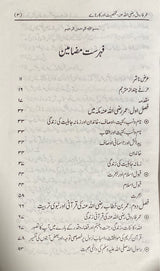 Urdu Umar Bin Khattab (2 Vol)